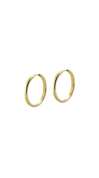 ANNI gold 25