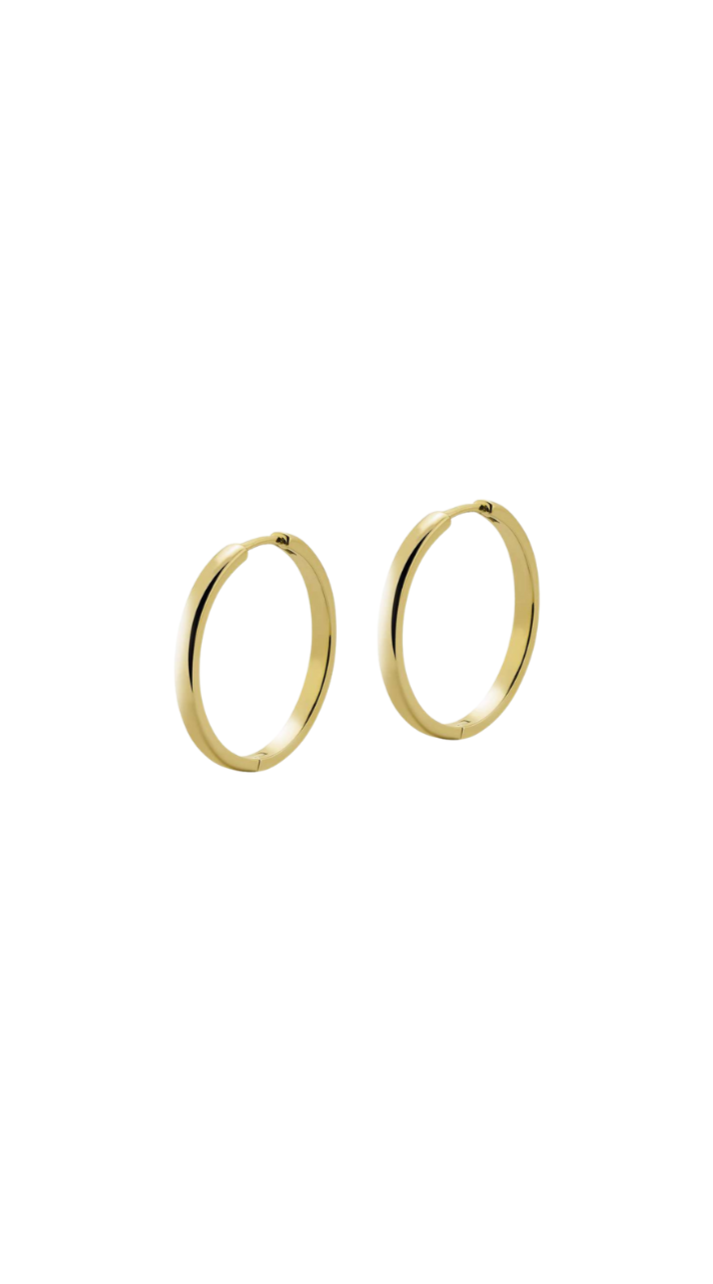 ANNI gold 25